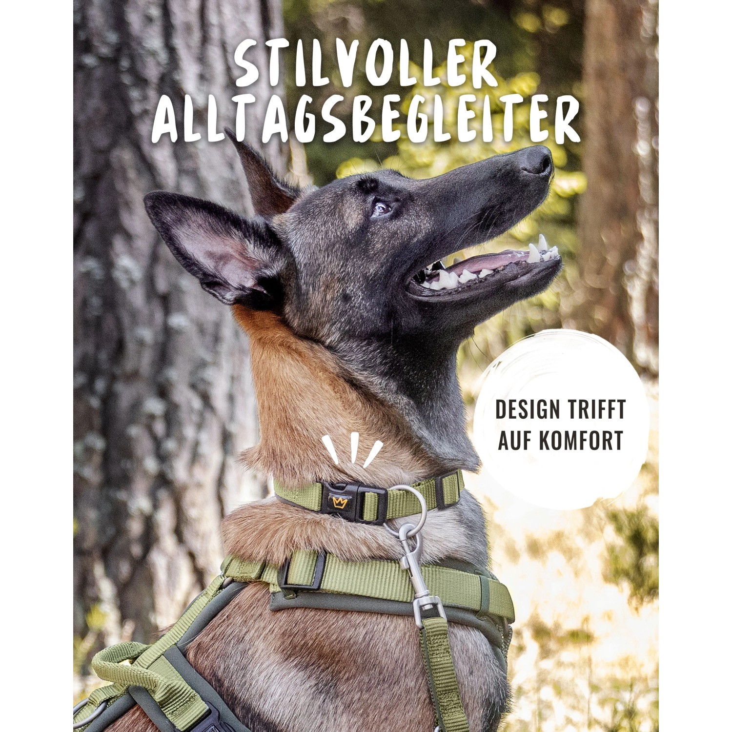 Hund mit verstellbarem, olivgrünem Rudelkönig Hundehalsband Bella aus Nylon und Neopren.