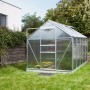 Vitavia Gewächshaus Venus 6200 aus Alu blank im Garten. Das Gewächshaus ist rechteckig und hat eine Tür.