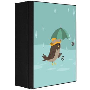 Abschließbarer Banjado XXL Medizinschrank mit Rainbird Motiv, anthrazit, 35x46x15cm.