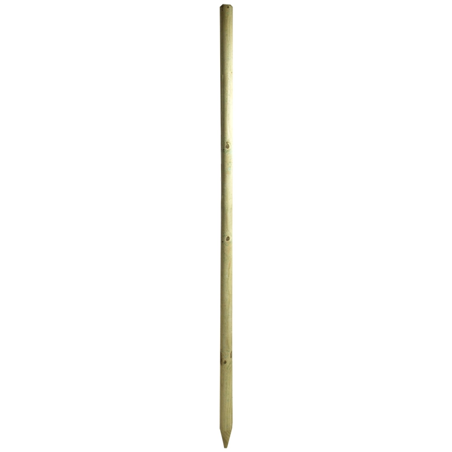 Baumpfahl Ø 6 cm x 200 cm druckimprägniert FSC® kaufen bei OBI