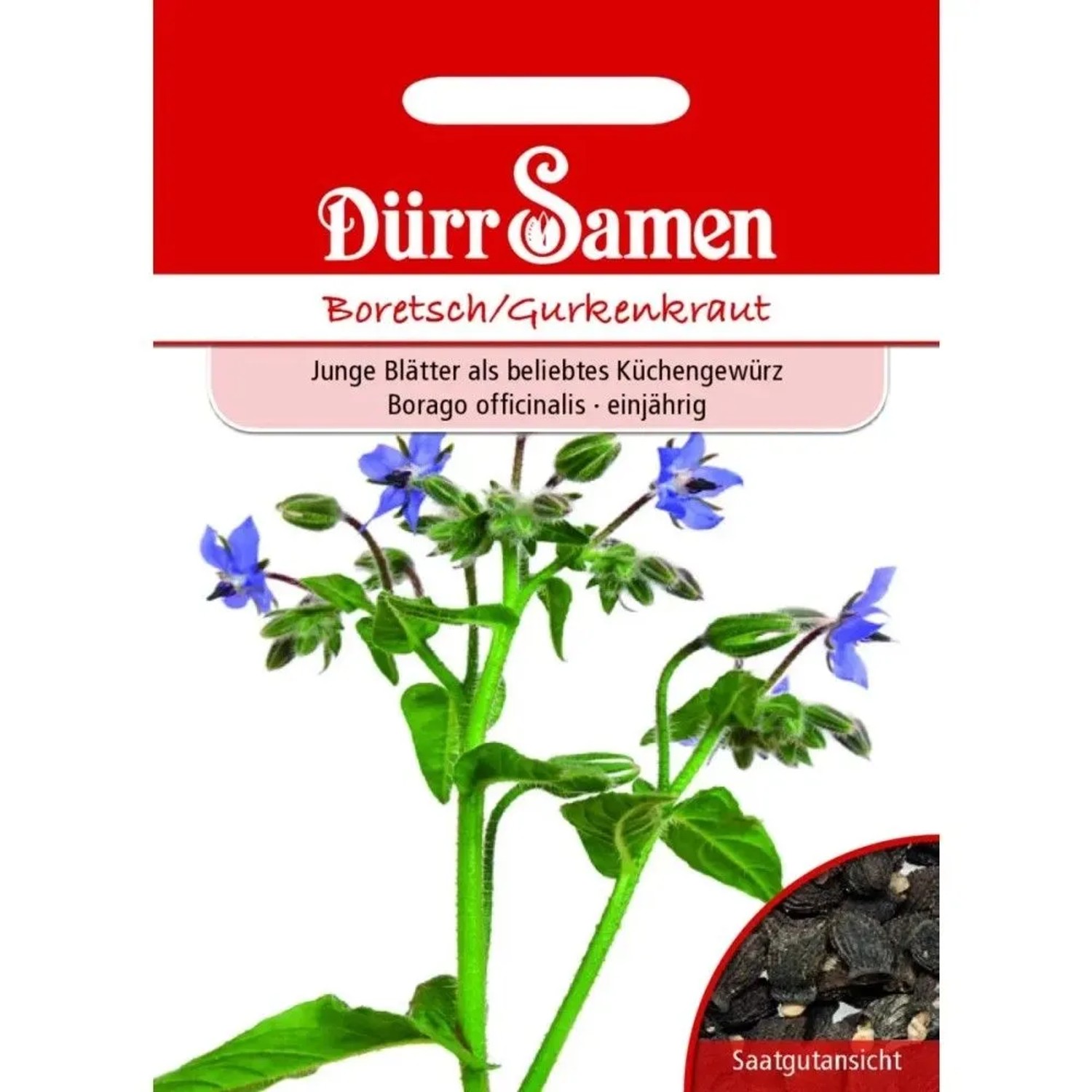 Dürr Samen Boretsch Gurkenkraut Saatgut