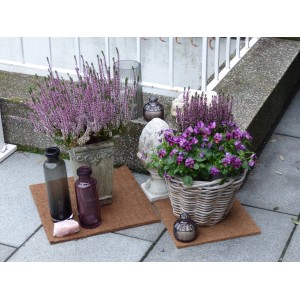 4er Set Kokosfaser Mulchmatten 30x30cm als Topfuntersetzer und Baumschutz in Natur.