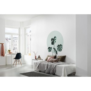 Wandsticker Monstera Deliciosa (70x50 cm) im Wohnraum als Wanddeko.