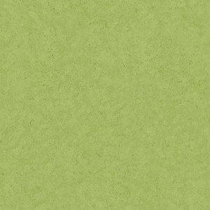 Grüne Vliestapete in Betonoptik, limettengrün, für Küche und Esszimmer.