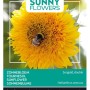Zwerg-Sonnenblume 'Sungold Gefüllt' Buzzy Sunny Flowers Samen Circa 2,5 g Gefüllte Blüten