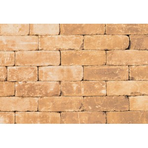 Diephaus Mauerstein Collo Sandstein, Ansicht einer Mauer aus einzelnen Steinen.