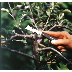 Fiskars Okuliermesser K60 im Einsatz zum Veredeln eines Obstbaum-Astes.