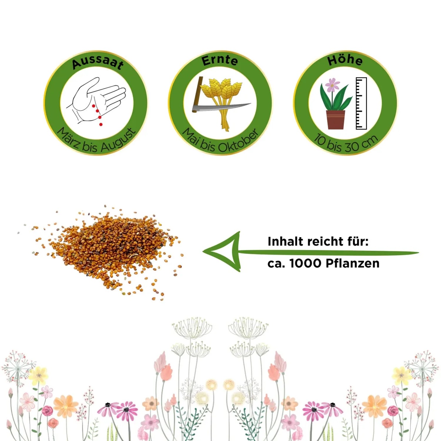 Samen der Gartenwelt Brunnenkresse: Aussaat, Ernte, Höhe und Inhalt für ca. 1000 Pflanzen.