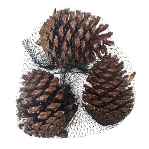 Mica Decorations Kieferzapfen, hellbraun, 220g, Basteldekoration für Kränze und Gestecke.