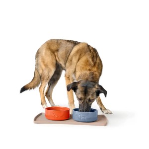 Hund frisst aus blauem Hunter Keramik-Napf Osby. Orangefarbener Napf daneben.