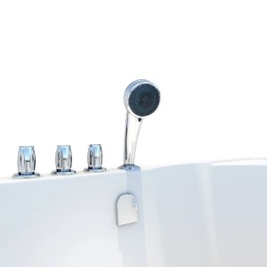 Detailansicht: AcquaVapore Seniorendusche/Badewanne mit Tür, Armaturen und Handbrause.