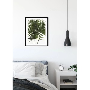 Komar Wandbild Palmtree Leaves, 40x50 cm, mit detailreichen Palmblatt-Motiven im schwarzen Rahmen.