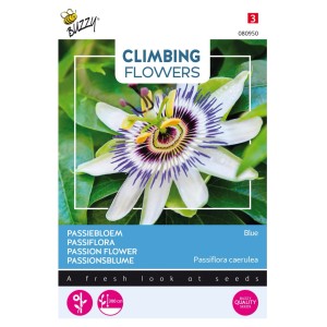 Passionsblume Blau Buzzy Climbing Flowers Samen Circa 0,5 g Kräftige Kletterpflanze