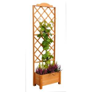 Holz Pflanzkasten Botanica mit Rankgitter, bepflanzt mit Erika und Weinrebe.