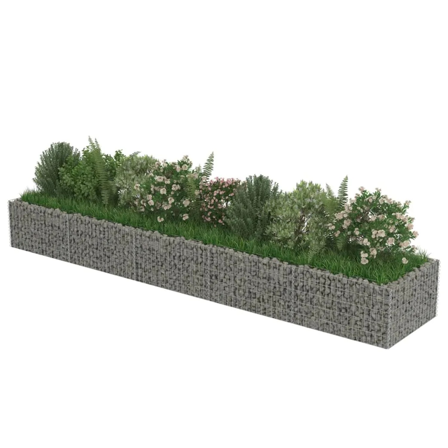 Rechteckiges Gabionen-Hochbeet aus Stahl, gefüllt mit Pflanzen.