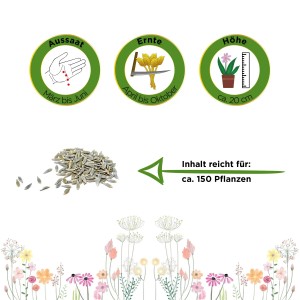 Samen für Mini-Romanasalat Xanadu: Aussaat, Ernte, Höhe und Inhalt für ca. 150 Pflanzen.