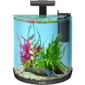 Tetra AquaArt II Explorer Line 30 l Aquarium-Set mit Krebs und LED-Beleuchtung.