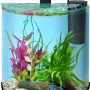 Tetra AquaArt II Explorer Line 30 l Aquarium-Set mit Krebs und LED-Beleuchtung.