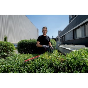 Mann schneidet Hecke mit Metabo Akku-Heckenschere HS 18 LTX BL 55 solo.