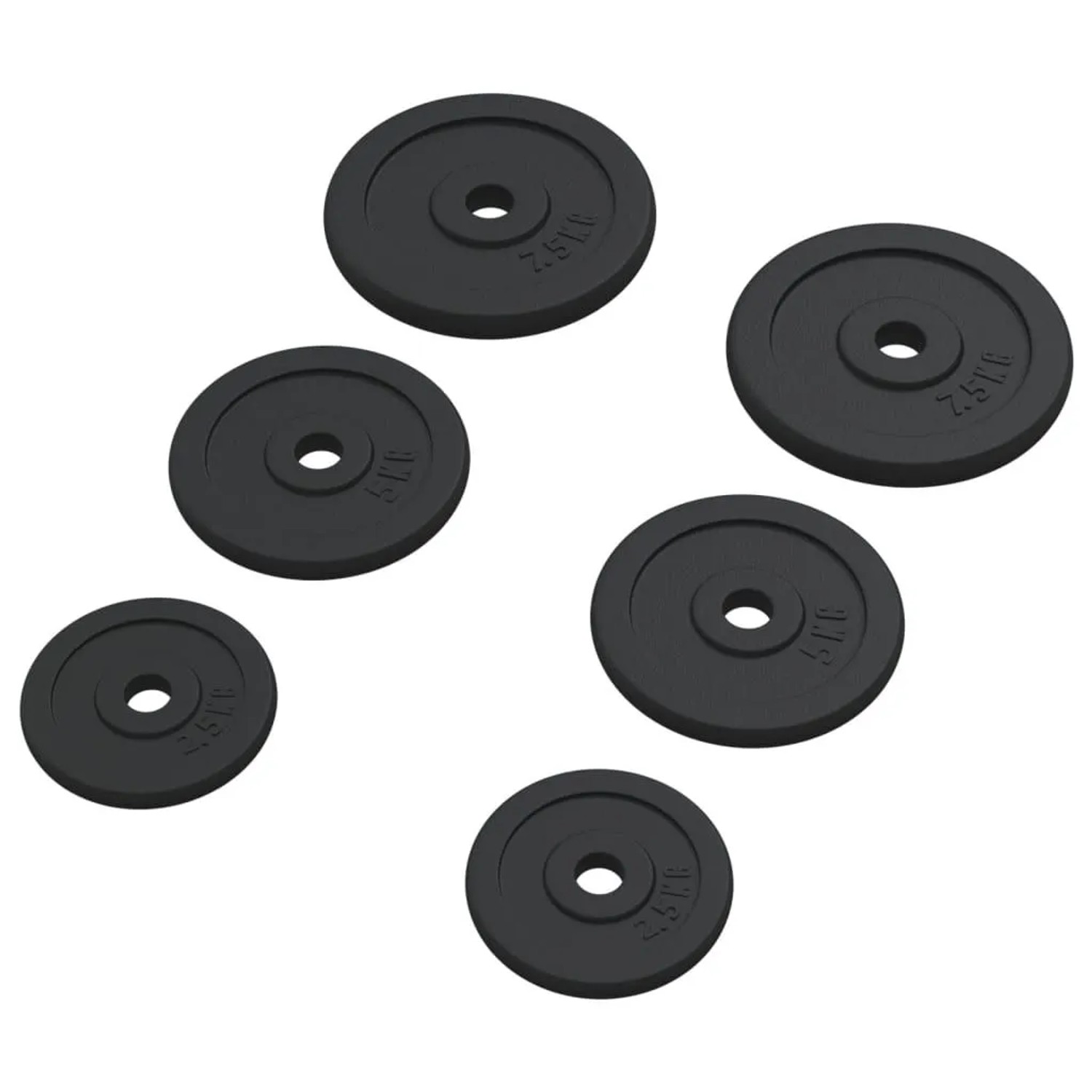 vidaXL Hantelscheiben 6 Stk 30 kg Gusseisen 93639