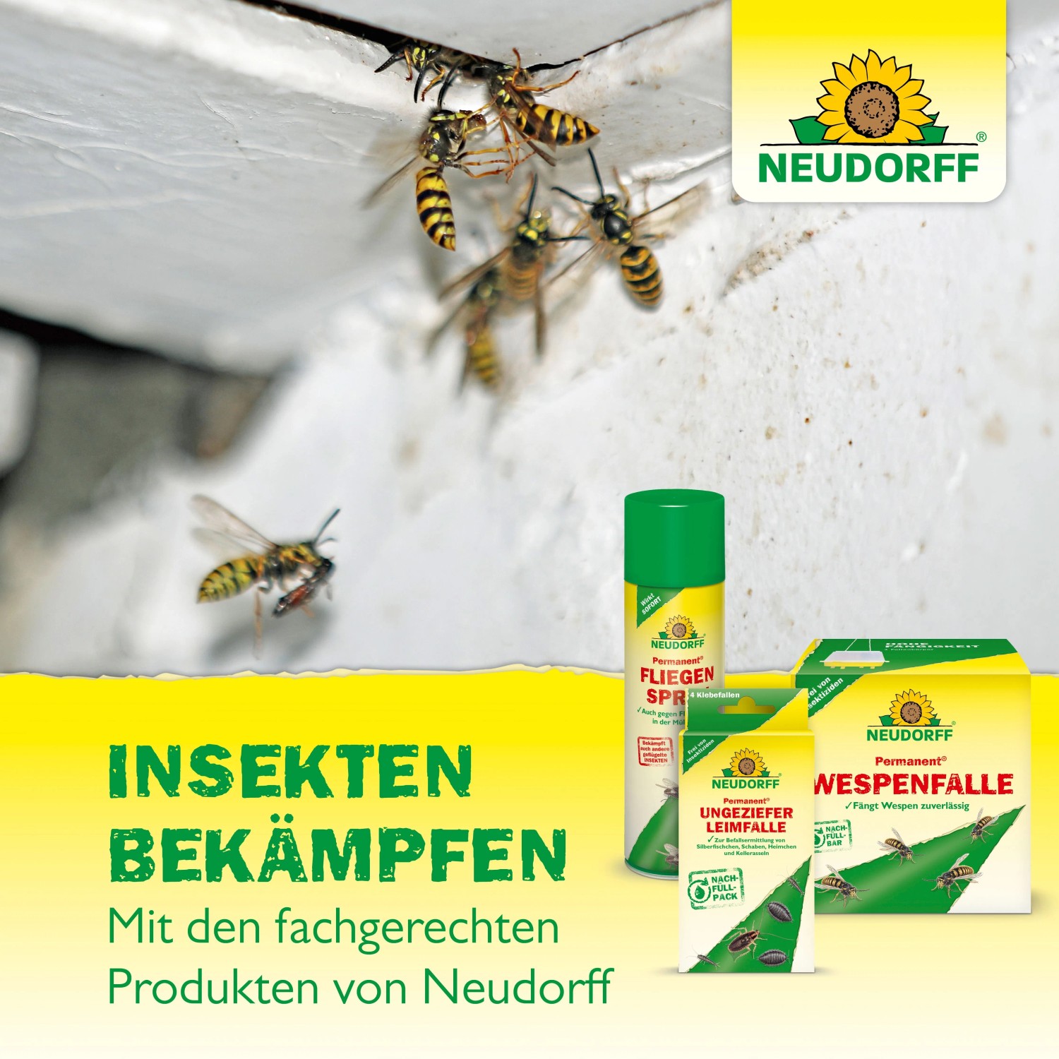 Neudorff Insektenbekämpfungsprodukte: Fliegenspray, Wespenfalle und Ungeziefer Leimfalle im Set.