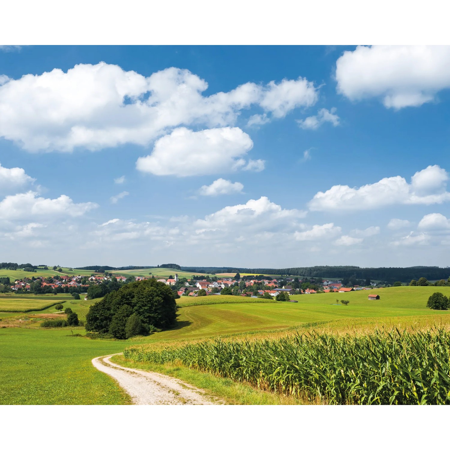 Vlies Fototapete Bayrische Idylle