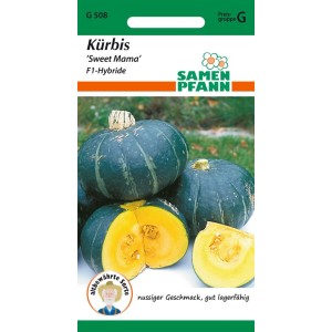 Samen Pfann Kürbis Sweet Mama: Dunkelgrüne Kürbisse, einer angeschnitten mit gelbem Fruchtfleisch.