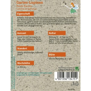 Samentüte Grüne Fee Garten-Lupinen Bunte Kerzen, mehrjährige Blumensamen für farbenfrohe Blütenstände.