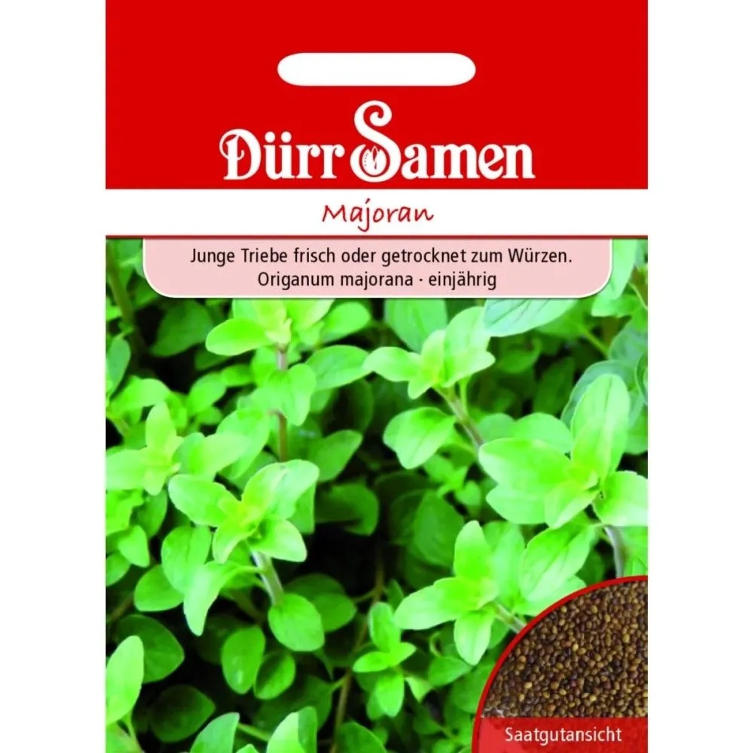 Dürr Samen Majoran Saatgut