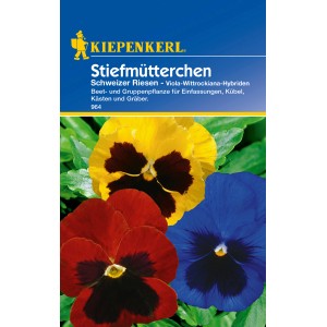 Kiepenkerl Stiefmütterchen Schweizer Riesen, mehrfarbig: Gelbe, rote und blaue Blüten.