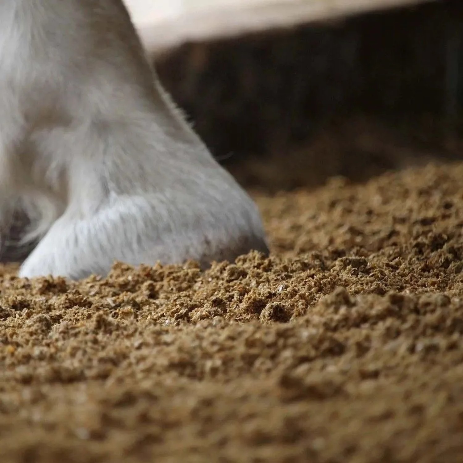 Tierhuf in brauner STROY Strohpellets Einstreu. Feine, saugfähige Kleintierstreu aus Weizenstroh für Stall und Tierkomfort.