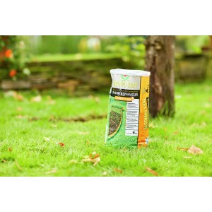 Compo Saat Rasen-Reparatur Komplett Mix+ 4 kg auf Rasenfläche, zur Ausbesserung von Rasenlücken.
