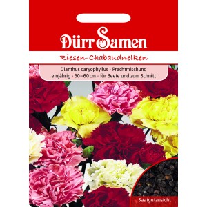Dürr Samen Gartennelke Prachtmischung Chabaud, einjährige Blumensamen in verschiedenen Farben.