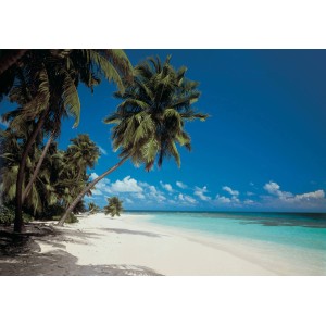 Fototapete: Maldives Strand mit Palmen, blaues Meer und Himmel. Urlaubsfeeling für Ihr Zuhause.
