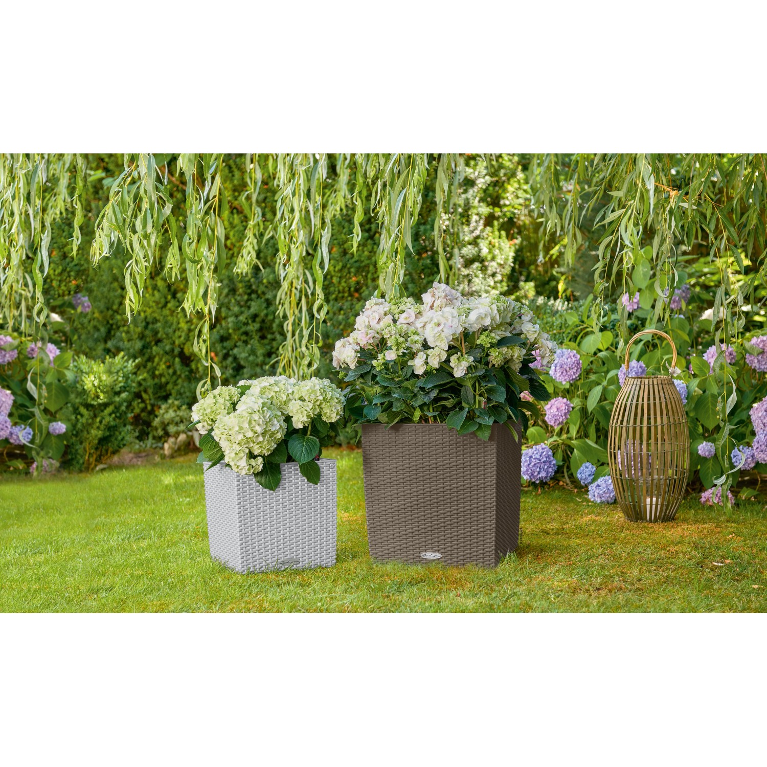 Lechuza Cube Cottage Pflanzkübel, 50x50 cm, sandbraun und weiß, mit Pflanzen im Garten.