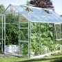 Vitavia Gewächshaus Jupiter 9900 aus Alu mit Pflanzen im Garten.