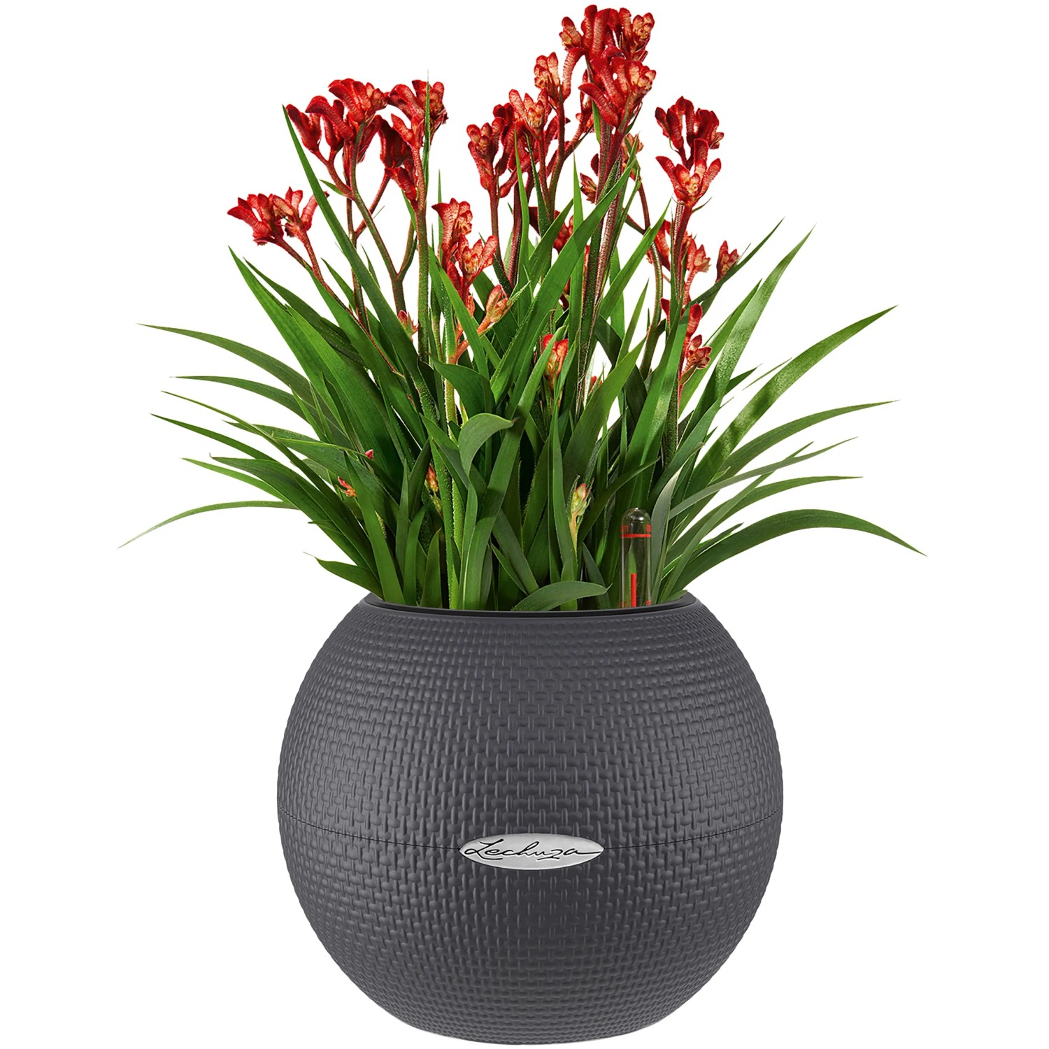 Lechuza Blumentopf mit Bewsserungssystem Puro Color 20 cm x 16 cm  Schiefergrau kaufen bei OBI