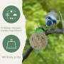 Blaumeise frisst Orni Meisenknödel im Netz mit Sonnenblumenkernen am Ast. Wildvogelfutter für Ganzjahresfütterung.
