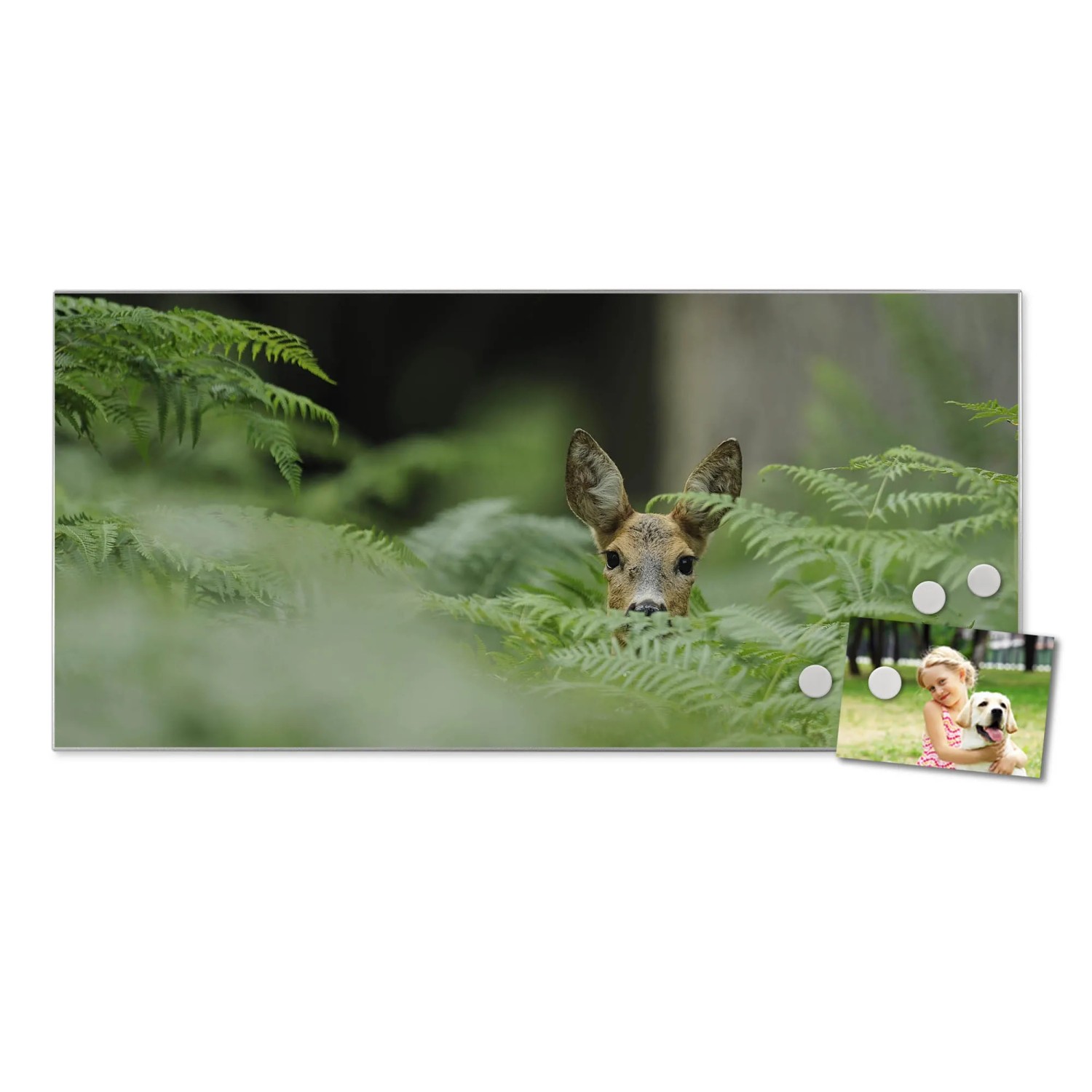 Silberne Magnettafel 78x37cm mit Reh-Motiv, inklusive Magneten und Foto als Wanddekoration.