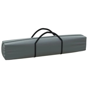 Verpacktes, faltbares Partyzelt in Anthrazit (2x2 m) von vidaXL in Tragetasche.