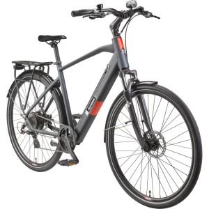 Telefunken Trekking E-Bike 28 Zoll 8-Gang Kettenschaltung Heckmotor 250 W 417,6 Wh Akku XT490