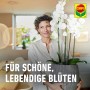 Frau hält blühende Orchidee, gepflegt mit Compo Blattpflege. Orchideendünger für gesunde Pflanzen.