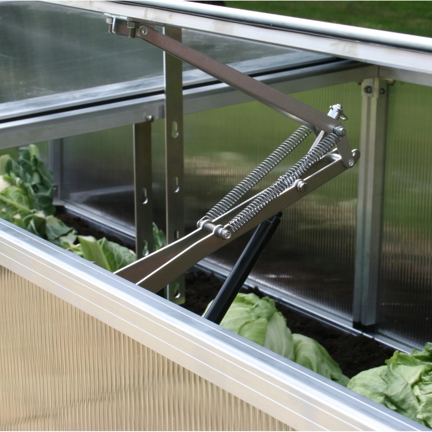 KGT Automatischer Fensterheber im Frühbeet-Gewächshaus, Detailaufnahme.