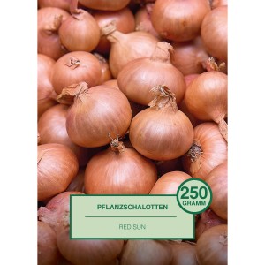 Pflanzschalotten Red Sun, 250g, zum Pflanzen im Garten.