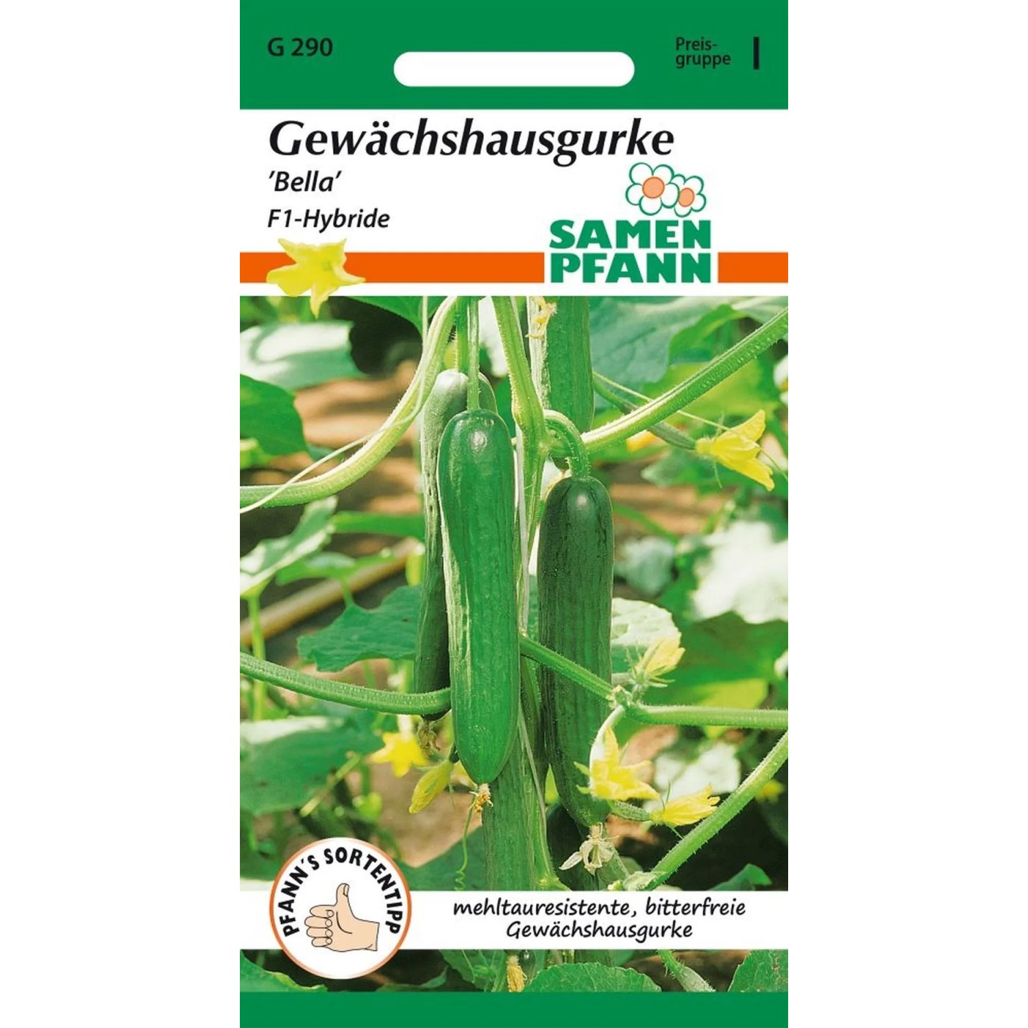 SAMEN PFANN Gewächshausgurke Bella F1
