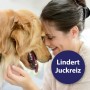 Frau schmiegt sich an Golden Retriever. Canosept Ohrreiniger zur Linderung von Juckreiz.