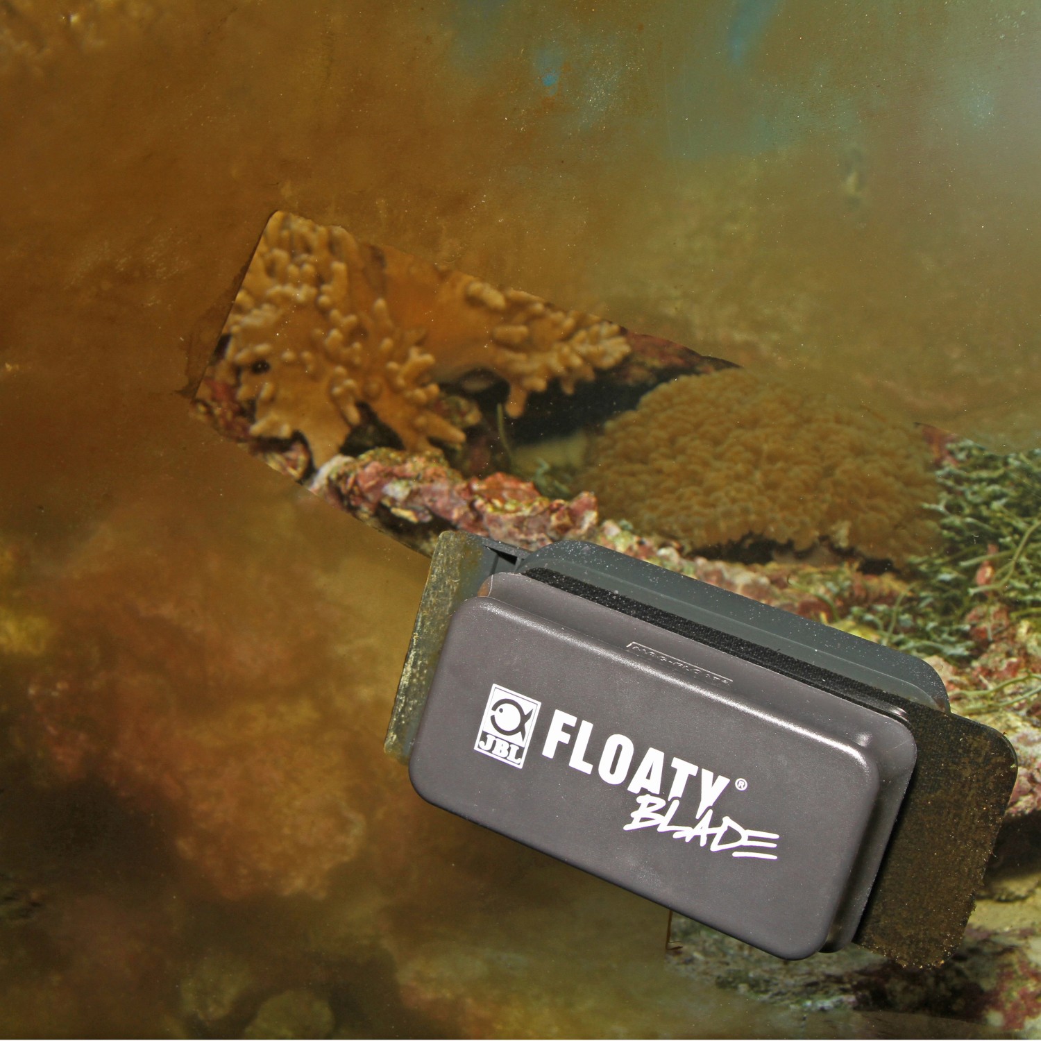 JBL Floaty Blade XL: Aquarium Scheibenreiniger mit Magnet und Klinge im Einsatz.