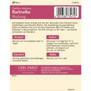 Pabst Keimkraft Bartnelke Mischung Saatgut Packung, Blumensamen für farbenprächtige Blumen.