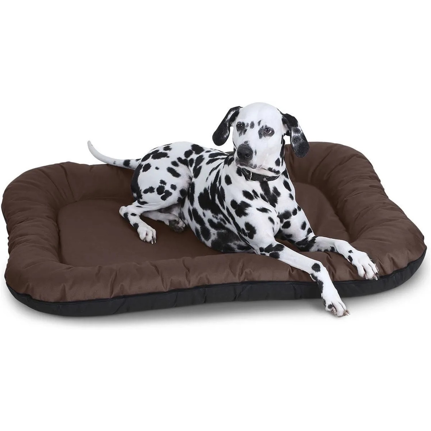 Braunes Knuffelwuff Hundebett Lucky XXL aus wasserfestem Nylongewebe für In- und Outdoor mit Dalmatiner.