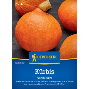 Kiepenkerl Kürbis Uchiki Kuri, orangefarbener Hokkaido-Kürbis, Gemüsesamen.